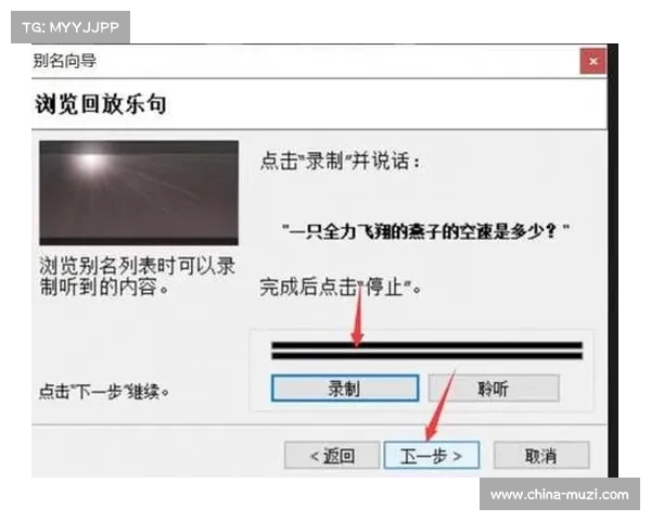 MorphVox Pro:探秘语音变换的魔力与特性 MorphVox Pro:探秘语音变换的魔力与特性